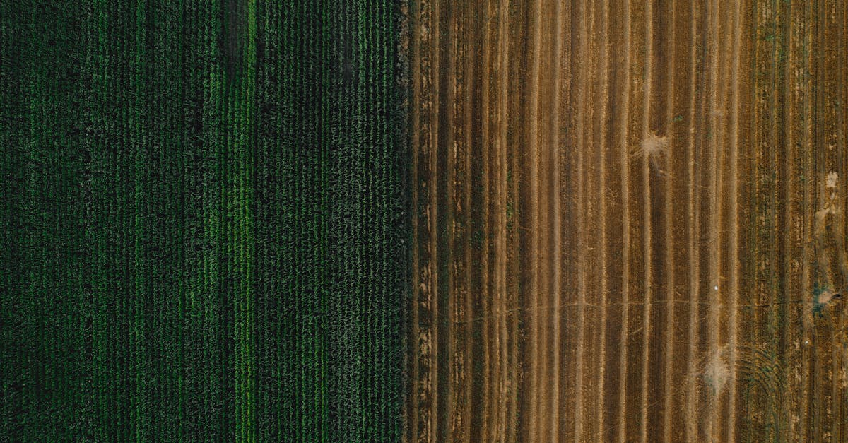 Aerial view of green and brown Texas farmland