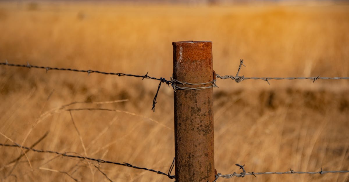 Rustic barbed wire fence post on dry ranch land