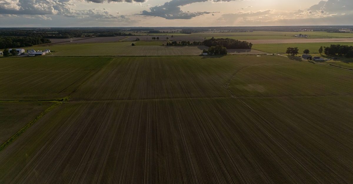 Aerial view of open crop fields with white barns and grain bins on a north Texas farmstead under breaking clouds at late afternoon