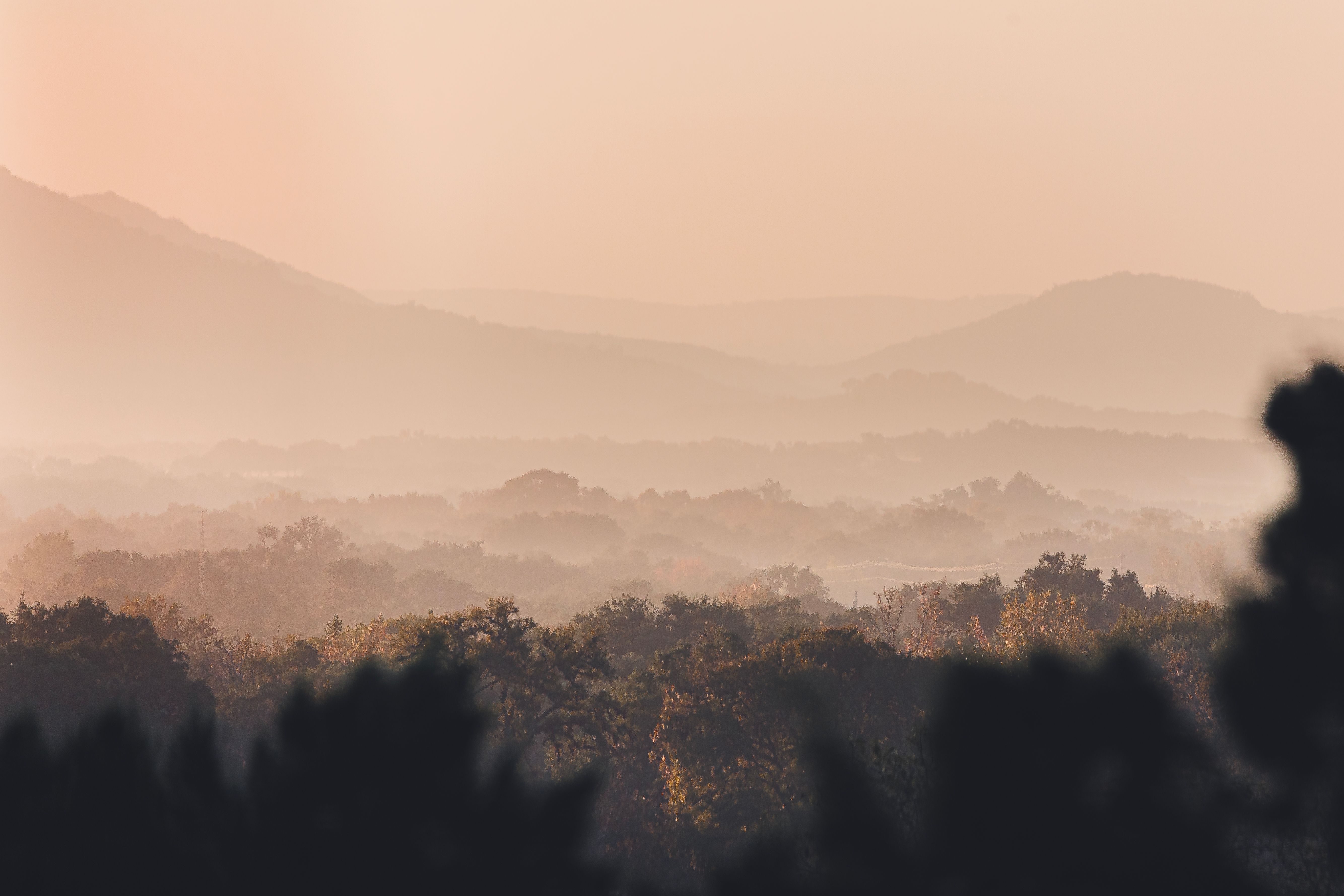 Rolling green hills and oak trees in the Texas Hill Country near Austin, Travis County, on a misty morning.